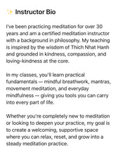 Load image into Gallery viewer, (Evening)Saturday at 7pm est Beginner Meditation Training Program – 2-Hour Workshop